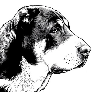 Telegram profile photo for Наследие Нартов