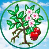 Telegram profile photo for Страна Живых - реабилитационный центр для наркозависимой молодежи