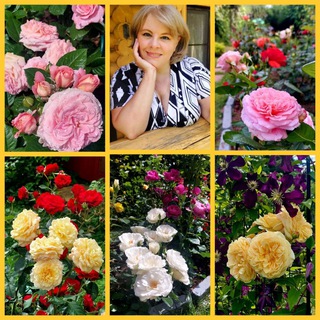 Telegram profile photo for Цветочница Анюта 🌹