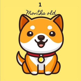 Telegram profile photo for Baby Doge Coin Announcements