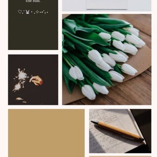 Telegram profile photo for SPM NOTES ♡₊˚ 🇵🇸˚。⋆