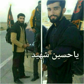Telegram profile photo for کانال شهید محسن حججی💚