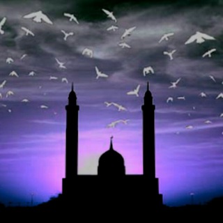 Telegram profile photo for فوائد وفرائد
