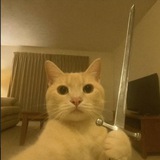 Telegram profile photo for Де роздають повістки Дубай