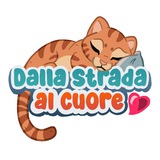 Telegram profile photo for 🐶 Dalla Strada al Cuore 🐱