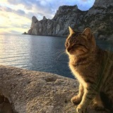 Telegram profile photo for مدونة أبو رافع عزمي