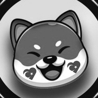 Telegram group profile photo for VITA INU (VINU) - Türkiye 🇹🇷