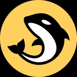 Telegram profile photo for CRYPTO NEWS
