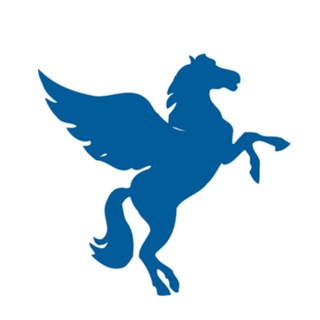 Telegram profile photo for Ангар Пегасова
