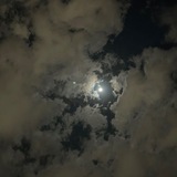 Telegram profile photo for قبس من نور