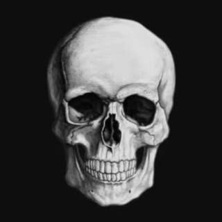Telegram profile photo for MR TRADE