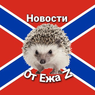 Telegram profile photo for Новости от Ежа 3.0