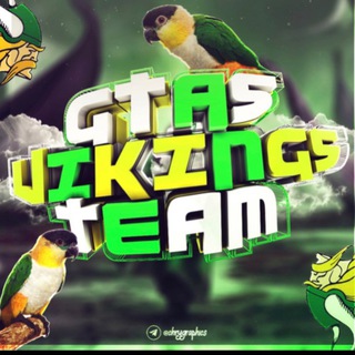 Telegram profile photo for 👥 GTA 5 GAMERS - VIKINGS TEAM 🛡