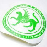 Telegram profile photo for Татарстан 716
