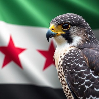 Telegram profile photo for شــبكـة أخـبـار ســوريــا