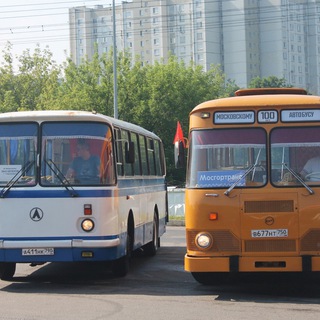 Telegram profile photo for Мировые автобусы