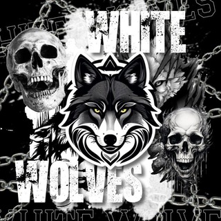Telegram profile photo for IDC OFFICIAL WLS