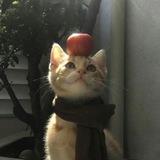 Telegram profile photo for Тихая гавань