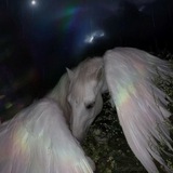 Telegram profile photo for Любовь это