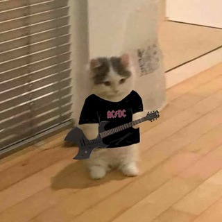 Telegram profile photo for cat voice studio
