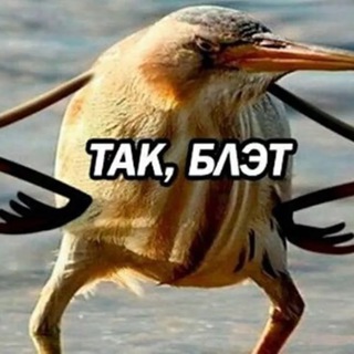 Telegram profile photo for Для важных переговоров