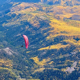 Telegram profile photo for ParaFomo Utah