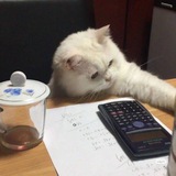 Telegram profile photo for MATH F1 WITH QAYYUM