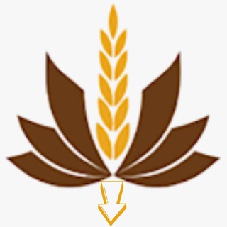 Telegram profile photo for मेरा राशन अपडेट्स I Mera Ration Updates