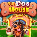 Telegram profile photo for Slot The Dog House Official | Официальный слот Дог Хаус- РЕГИСТРАЦИЯ - Вход и зеркало- Официальный слот- Играть онлайн