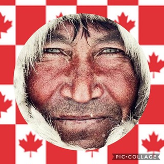 Telegram profile photo for کانال کولبر کانادا🇨🇦