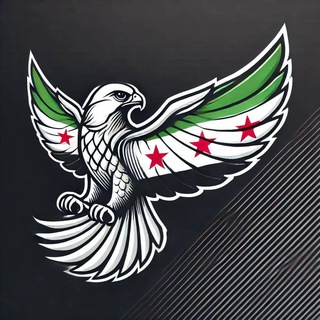 Telegram profile photo for نبض سوريا الآن 🇸🇾