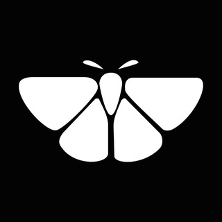 Telegram profile photo for MothVPN