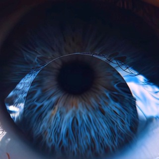 Telegram profile photo for The Open Experience