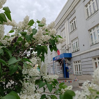 Telegram profile photo for Гимназия 16