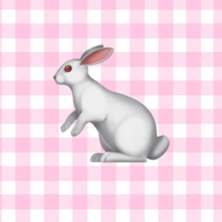 Telegram group profile photo for 2026 NETWORKING