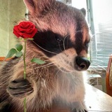 Telegram profile photo for πππ’ πππ