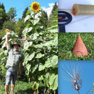 Telegram profile photo for Electroculture farming & gardening