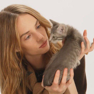 Telegram profile photo for закрыт на время : робин/милис вещает