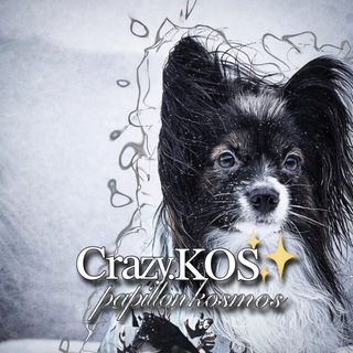 Telegram profile photo for Papillon Kosmos