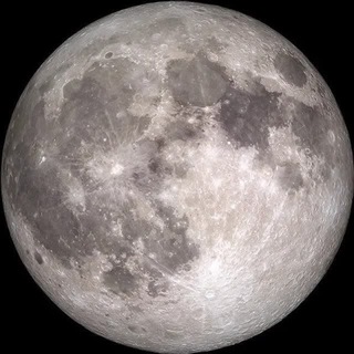 Telegram profile photo for Moon