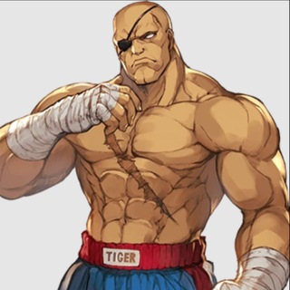 Telegram profile photo for SagatCalls