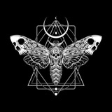 Telegram profile photo for Agoraphobia