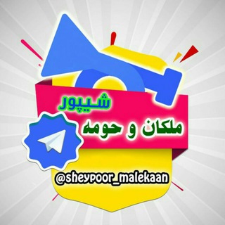 Telegram profile photo for شیپور ملکان