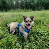 Telegram profile photo for Грей, но не серый!