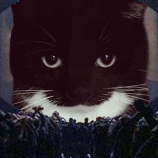 Telegram profile photo for РАЗВЕДКА ГОЕМ