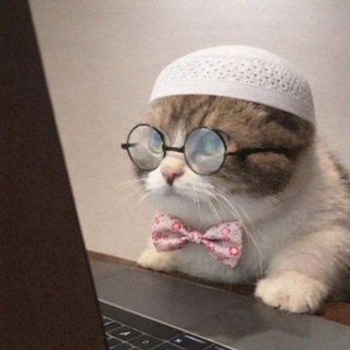 Telegram profile photo for ق. اورجيمارو باونتي