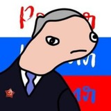 Telegram profile photo for Chadimir Putni
