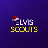 Telegram profile photo for Elvis Scouts Agency