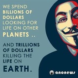 Telegram profile photo for anonews