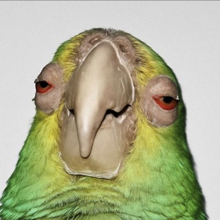 Telegram profile photo for проклятый старый мем